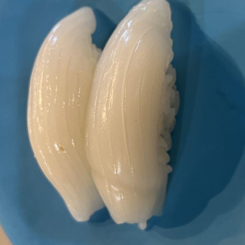 Squidsushi
