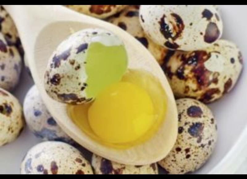 Quail Egg