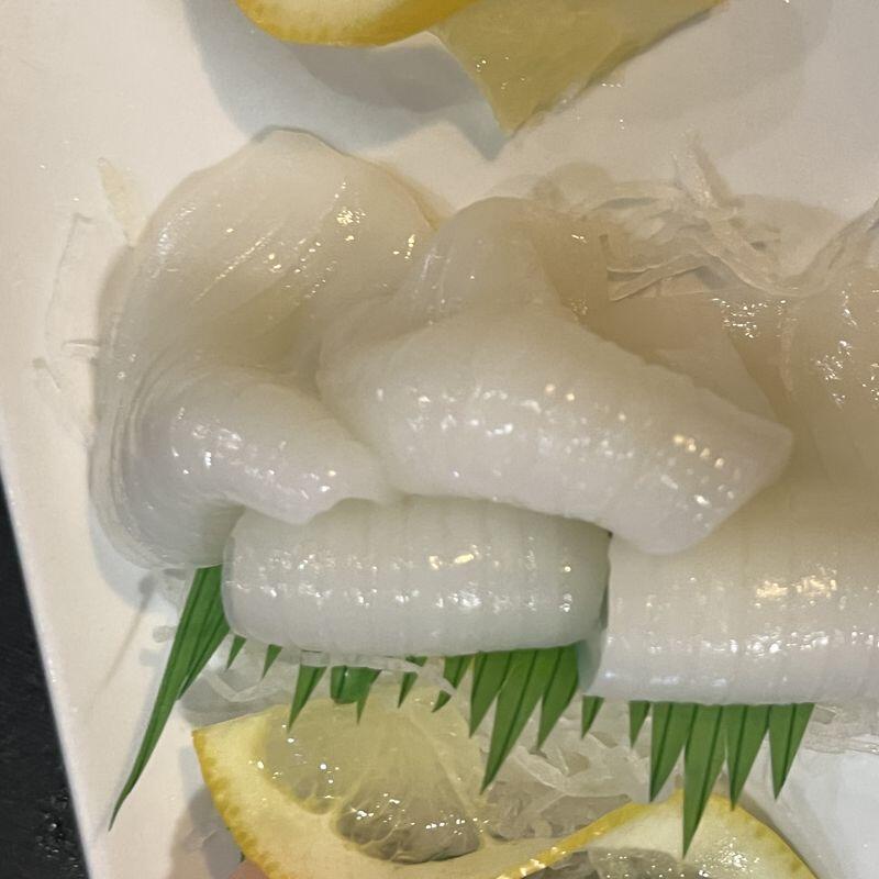 Squid Sashimi